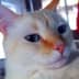User profile avatar