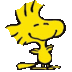 User profile avatar