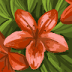 User profile avatar