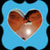 User profile avatar