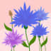 User profile avatar