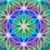 User profile avatar