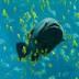User profile avatar