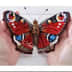User profile avatar