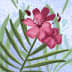 User profile avatar