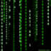 User profile avatar