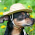 User profile avatar