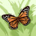 User profile avatar