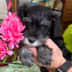 User profile avatar