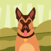 User profile avatar