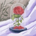 User profile avatar