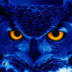 User profile avatar