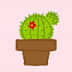 User profile avatar