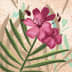 User profile avatar