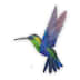 User profile image
