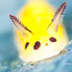 User profile avatar