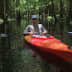 User profile avatar