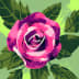 User profile avatar