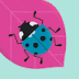User profile avatar