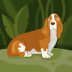 User profile avatar