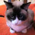User profile avatar