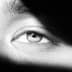 User profile avatar