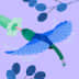 User profile avatar