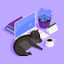 User profile avatar