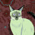 User profile avatar