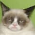 User profile avatar