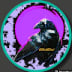 User profile avatar