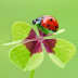 User profile avatar