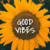 User profile avatar