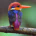 User profile avatar