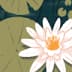 User profile avatar