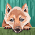 User profile avatar