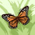 User profile avatar