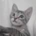 User profile avatar