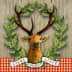 User profile avatar