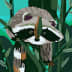 User profile avatar