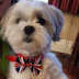 User profile avatar