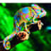 User profile avatar