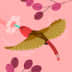 User profile avatar