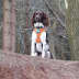 User profile avatar