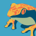 User profile avatar