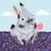 User profile avatar