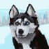 User profile avatar