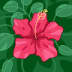User profile avatar