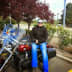 User profile avatar