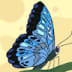 User profile avatar